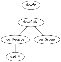 graph LDAP {
   graph [size = "2.5,2.5"]
   node [fontname = "monospace"]

   "dc=fr" -- "dc=club1"
   "dc=club1" -- "ou=People"
   "dc=club1" -- "ou=Group"
   "ou=People" -- "uid=*"
}
